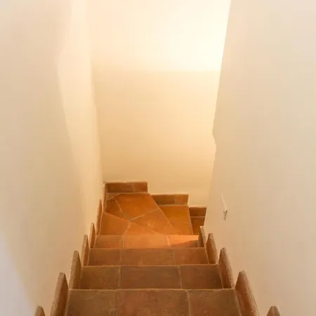 Mariposa Apartment